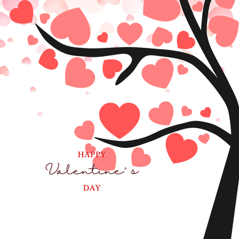 SmukBird gavekort Valentinsdag